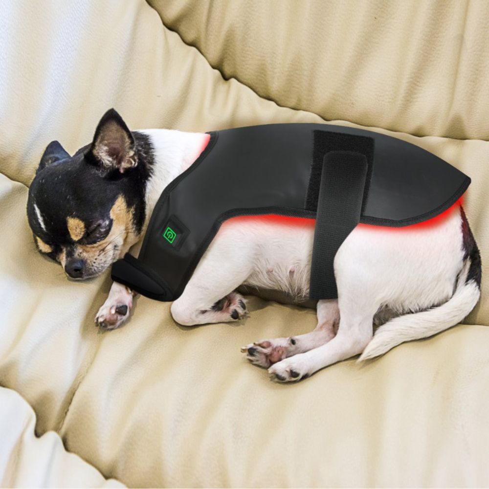 Serana | Red Light LED Pet Coat — Adjustable Fit Infrared Technology