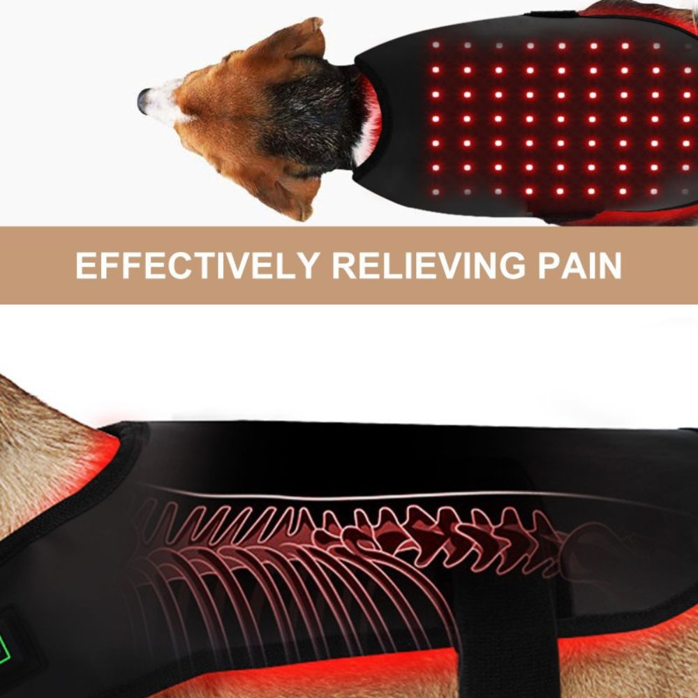 Serana | Red Light LED Pet Coat — Adjustable Fit Infrared Technology