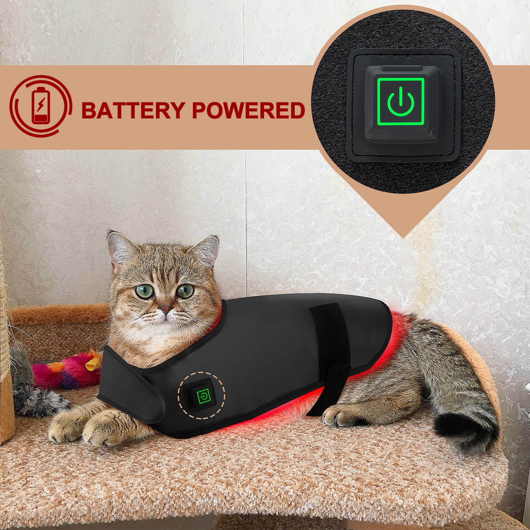 Zephira | Red Light Therapy Coat — Adjustable Fit Infrared Technology for Pets 2