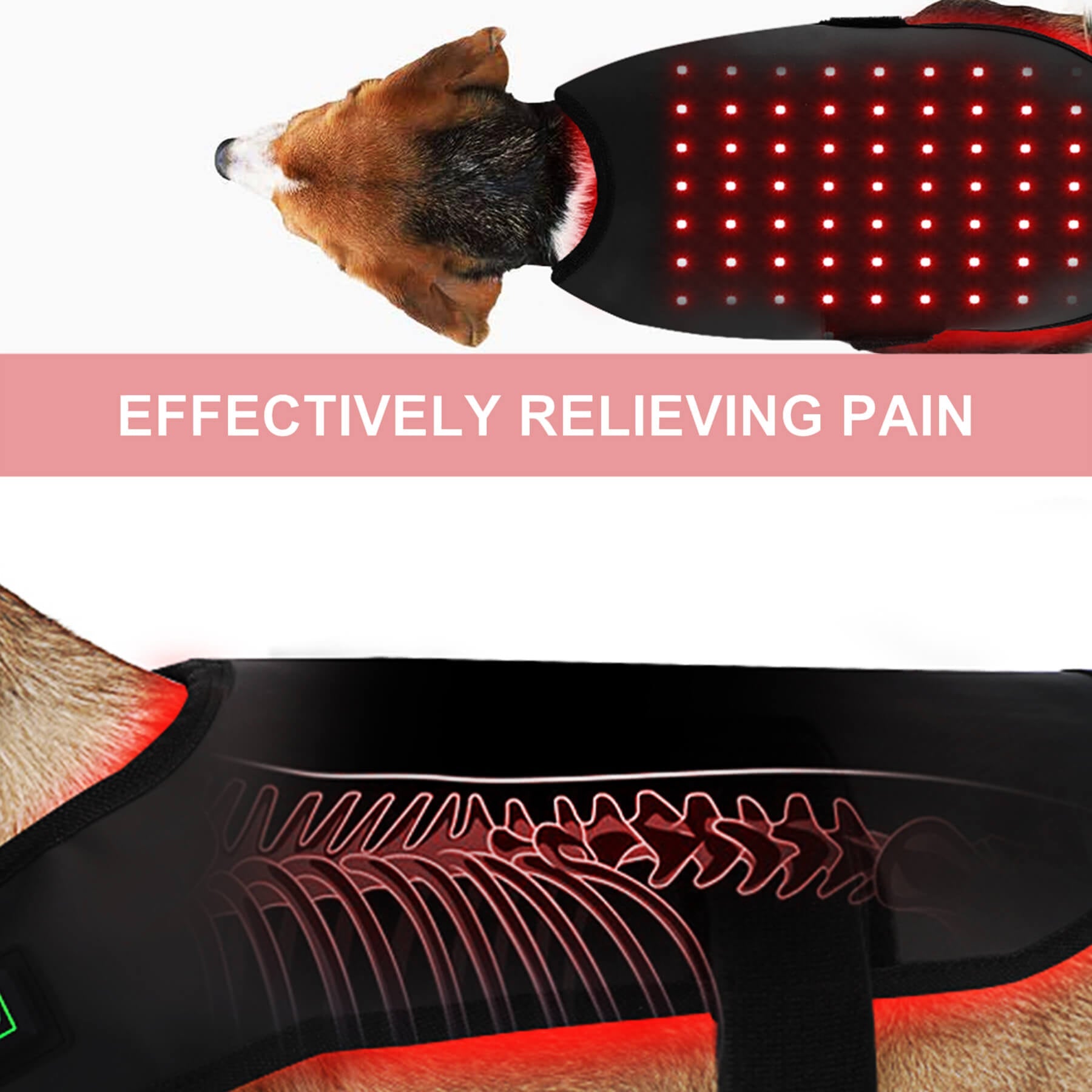 Zephira | Red Light Therapy Coat — Adjustable Fit Infrared Technology for Pets 3