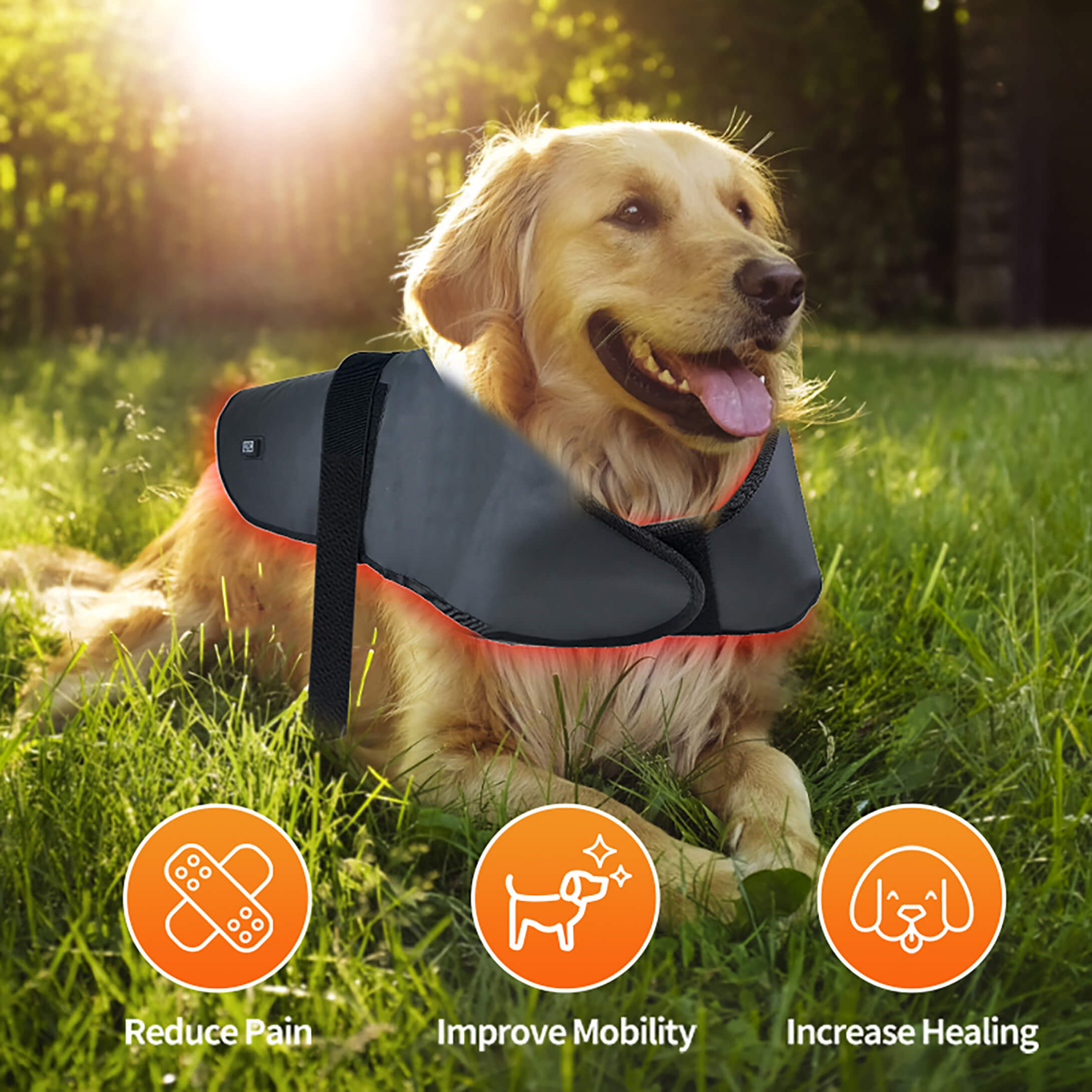 Zephira | Red Light Therapy Coat — Adjustable Fit Infrared Technology for Pets 7