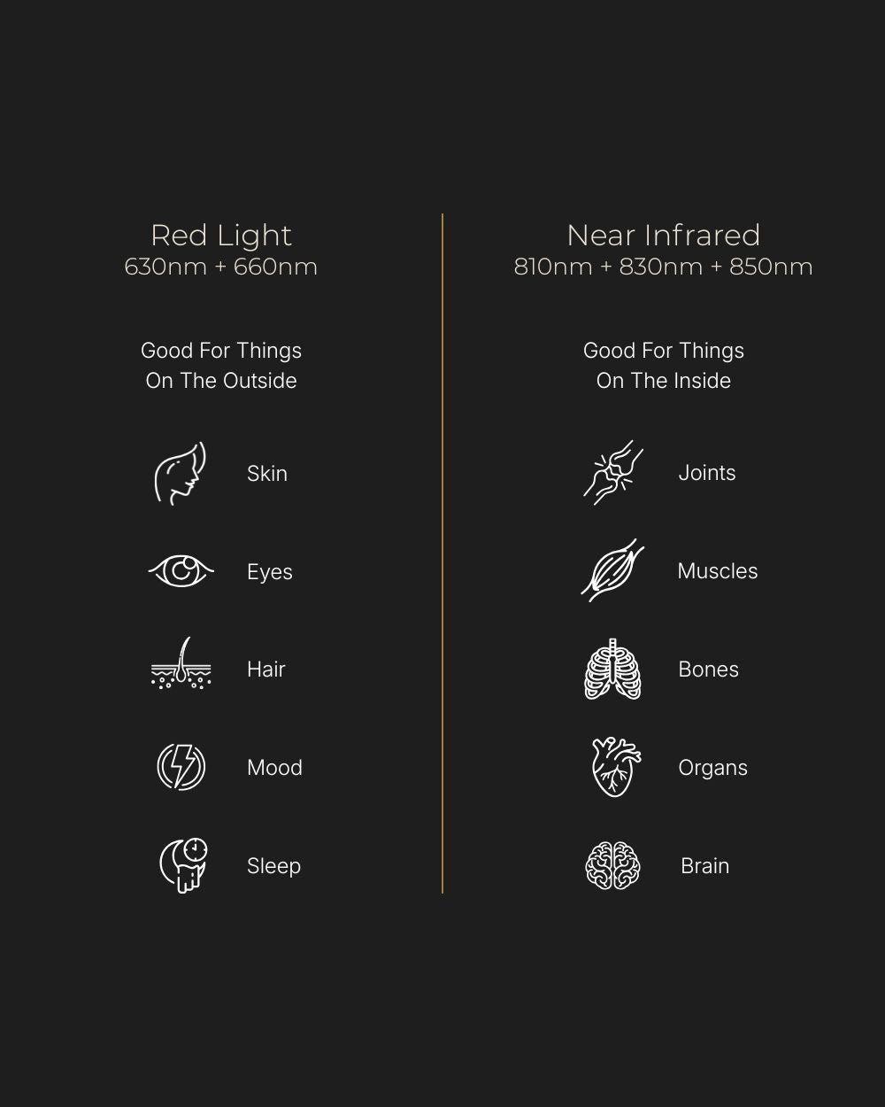 Zephira | Red Light Therapy Panel — Professional Grade Modular LED Device 4