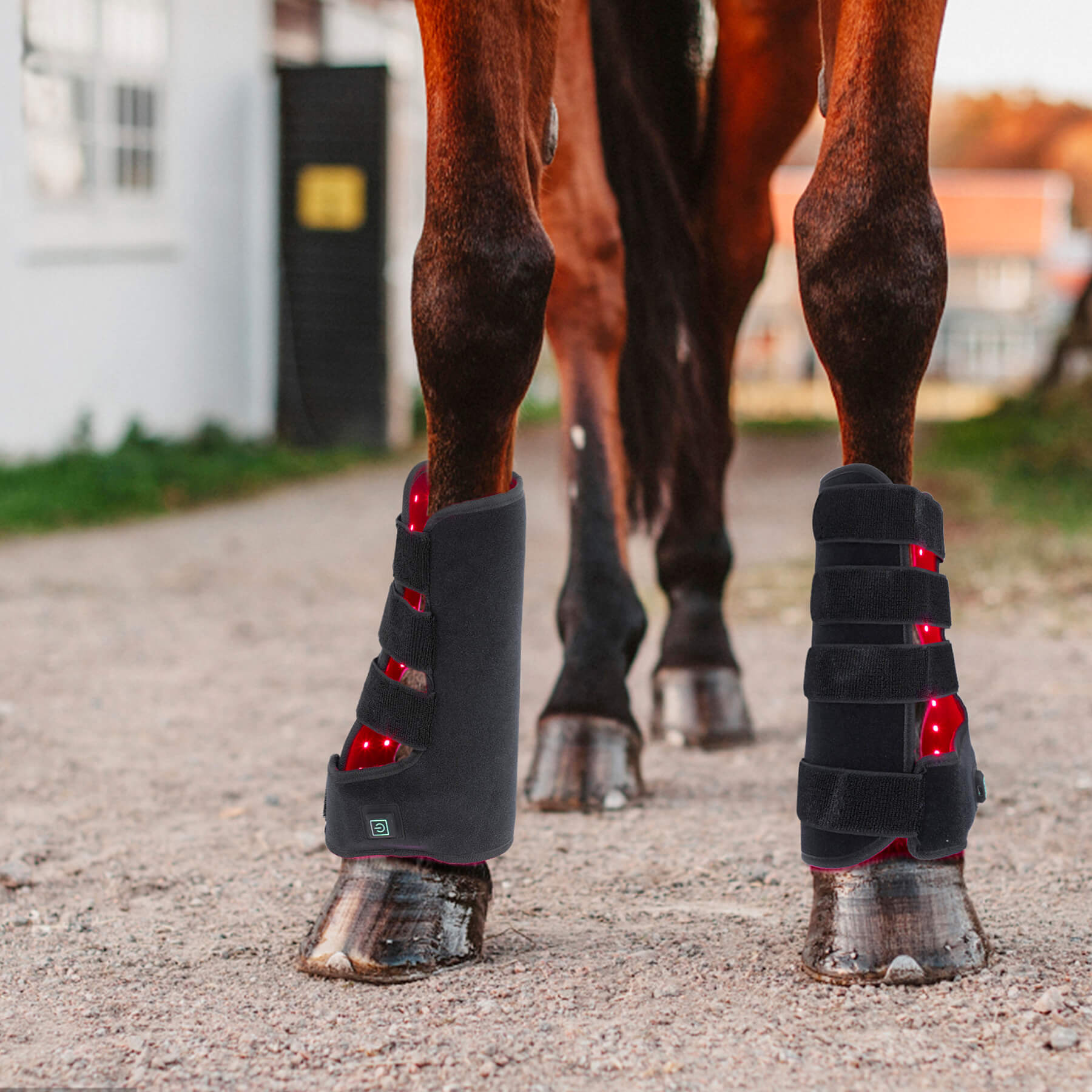 Zephira | Red Light Therapy Wrap — Rechargeable Flexible LED for Pets 0