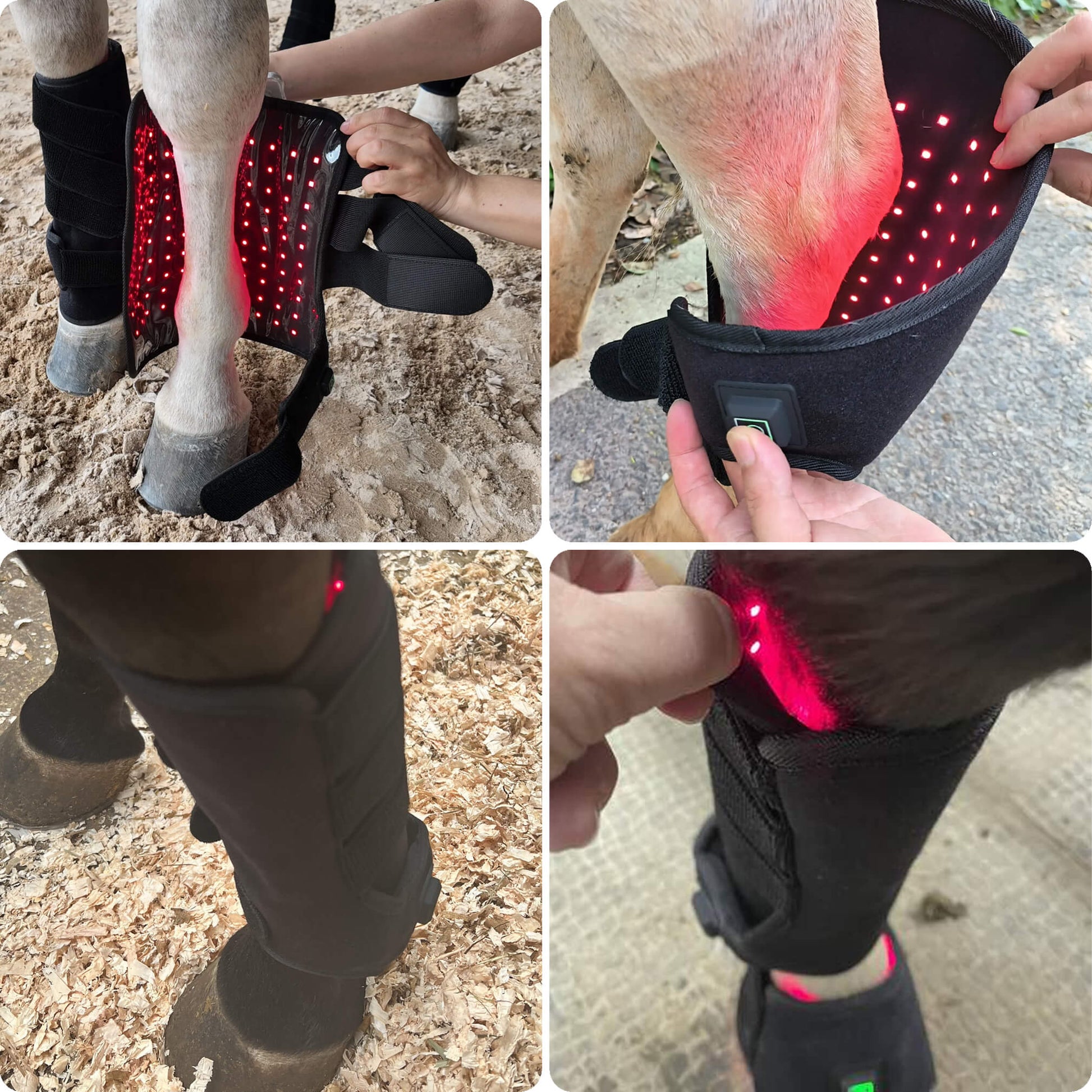 Zephira | Red Light Therapy Wrap — Rechargeable Flexible LED for Pets 1